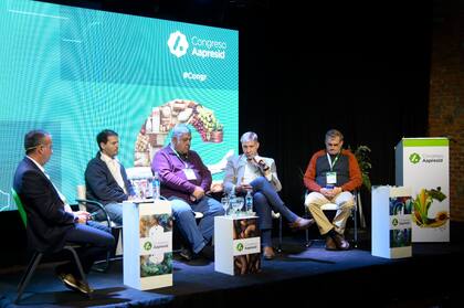 Jorge Lopez Menendez, productor en Sierra Leona; Adrián Scarpeccio, SuperWalter; José Luis Dassie, director de Metalfor, y Bernardo Piazzardi, de la Universidad Austral durante la charla en Aapresid