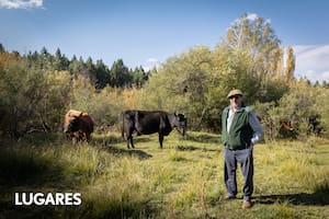 Es veterinario, cambió su forma de producción y hoy elabora los mejores quesos de la región