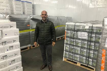 Jorge Pazos, presidente del Comité Argentino de Arándanos