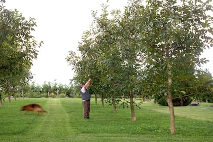 Jorge, su perra India y sus nogales