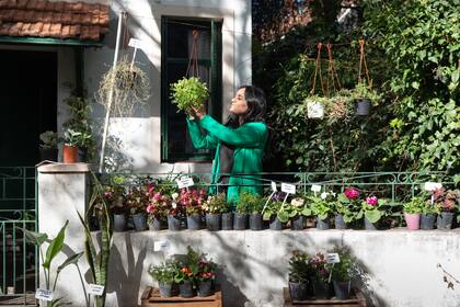 Jorgelina y sus plantas en el vivero Veredita Verde.