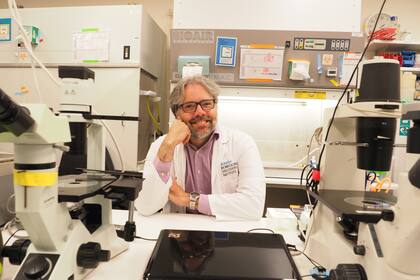 Su investigación fue publicada en la revista Nature