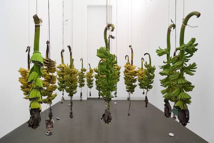 José Alejandro Restrepo, "Musa paradisíaca" (1996)