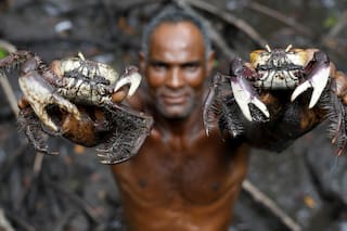 El cazador de cangrejos del río Caratingui, que lucha contra el cambio climático