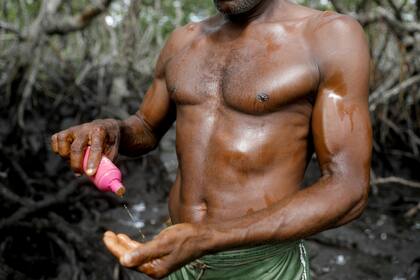 José Da Cruz pone aceite en su piel como protección contra los insectos, antes de atrapar cangrejos en los bosques de manglares