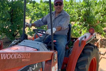 José Hernández ahora tiene un viñedo con su padre en Lodi, California