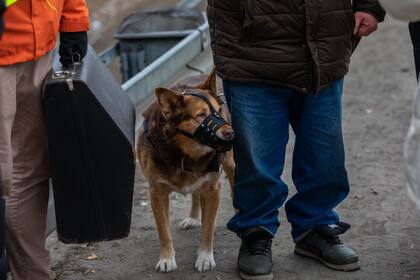 José logró cruzar la frontera junto con su perro Goya luego de separase de su familia que, hace más de diez días, también fue asistida por la Cancillería Argentina para salir de Ucrania y trasladarse a República Checa.
