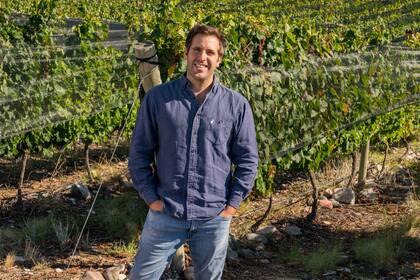 José Lovaglio - Vaglio Wines: “Mi misión es acercar más gente a nuestros productos, educar, simplificar y desmitificar al vino. Y mi desafío es seguir explorando”