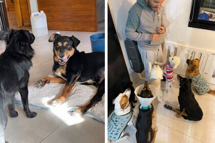 José Luis aprendió a vaciarle la vejiga a Moro.