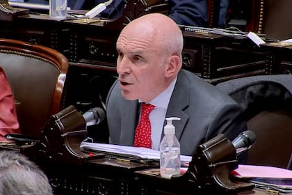 José Luis Espert durante la sesión especial de la Cámara de Diputados