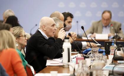 José Luis Espert en la reunión de las comisiones que debaten el aval al acuerdo con el FMI en el Congreso