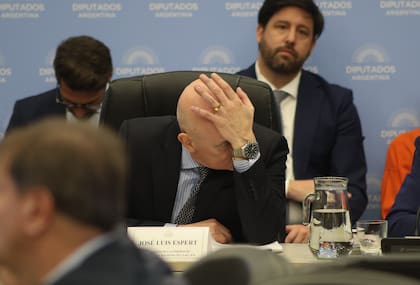 José Luis Espert este miércoles en la comisión de Presupuesto, donde escuchó pedidos de remoción en su contra.