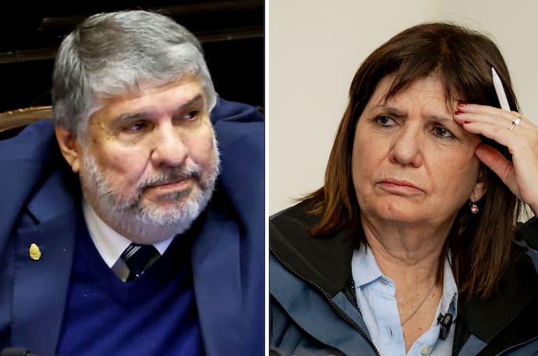 Mayans pidió la “destitución” de Bullrich por acusar a los ...
