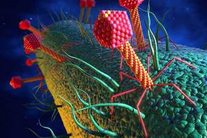 Josefina Puig; Fagos; Ciencia; bacterias; BBC; BBC Mundo;Gregorio Iraola