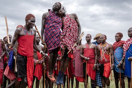 Jóvenes masai realizan su tradicional danza de salto mientras se reúnen para cantar y bailar durante la ceremonia Eunoto en una zona remota cerca de Kilgoris, Kenia, el 18 de agosto de 2023. 