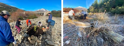 Jóvenes por Bariloche también planea construir un invernadero de producción de plantas nativas para luego plantar