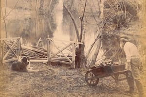 Cuando nuestros gauchos se hicieron jardineros y crearon bellos paisajes