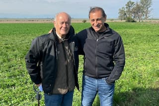 Por primera vez, el DT Ramón Díaz ofrecerá un remate de toros y vacas en su campo