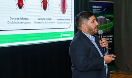 Juan Ignacio Herrera, jefe de Producto para Conservación de Postcosecha en Rizobacter