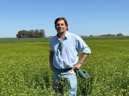 Juan Ignacio Mateu, coordinador técnico de la compañía, dijo que uno de los desafíos más importantes de la compañía en Arrecifes fue enfrentar los problemas de erosión hídrica