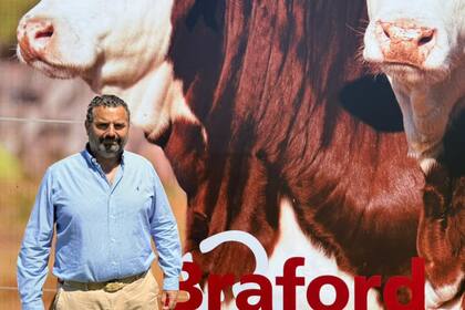 Juan Manuel Alberro, presidente de la Asociación Braford Argentina (ABA)