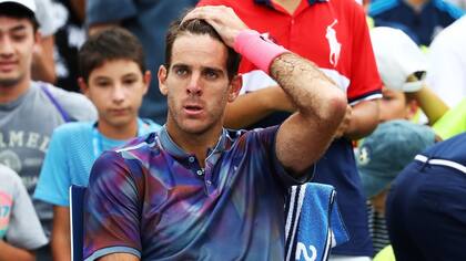 Juan Martín del Potro se medirá con Roberto Bautista Agut