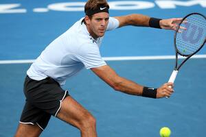 Juan Martín del Potro perdió con Bautista Agut en la final del ATP de Auckland