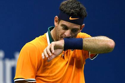 Juan Martín del Potro