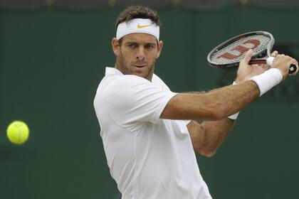 Juan Martín del Potro-Gilles Simon