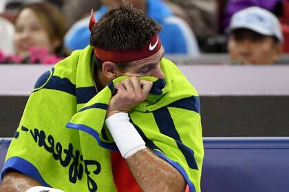 Juan Martín Del Potro sufrió una lesión en Queen´s