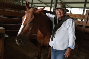 Ganó el torneo de polo más importante del mundo y un accidente le cambió la vida