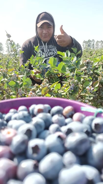 Juan Navarro tiene 18 años, cursa el último año en la escuela Técnica N°1 y solo trabaja en el campo cuando no tiene que estudiar