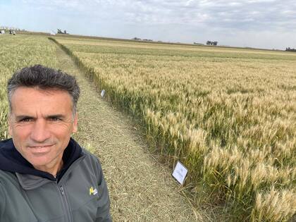 Juan Pablo Ioele, asesor de productores en el sudeste de la provincia de Córdoba, consideró de gran importancia estas últimas precipitaciones de octubre