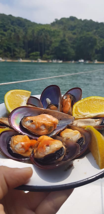 Juan pesca con arpón y recolecta mariscos para comer.