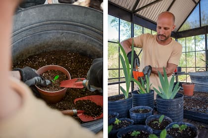 Juan realizando un trasplante de lirios