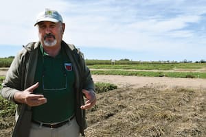 Padre e hija encontraron una solución a un problema que aqueja a un cultivo que le deja millones de dólares al país