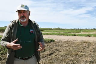Padre e hija encontraron una solución a un problema que aqueja a un cultivo que le deja millones de dólares al país