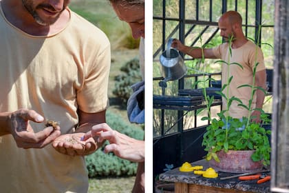 Juan ya casi no va al vivero, en cambio, produce los plantines que dan color a los canteros