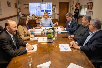 Juan Zabaleta, en la cabecera, con los gobernadores Capitanich y Insfrán