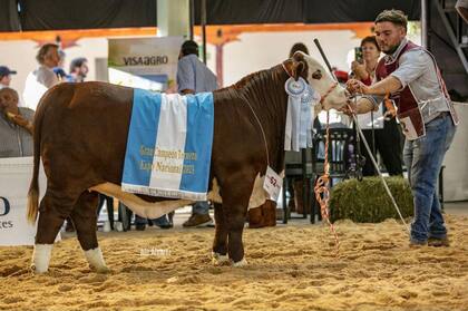 Juan Zeman, criador y jurado de Santiago del Estero, con tan solo 29 años, será el encargado de evaluar a los reproductores en la Nacional Primavera Braford