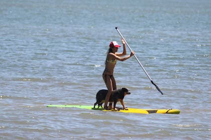 En una soleada mañana en La Mansa, Viale mostró durante más de dos horas sus habilidades en la práctica de paddle surf
