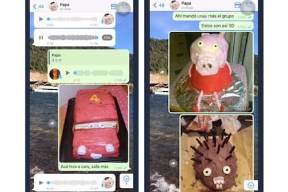 Juana le mandó a su papá las tortas 3 D de su amiga (Foto: Captura de video Twitter @BetaKong05)