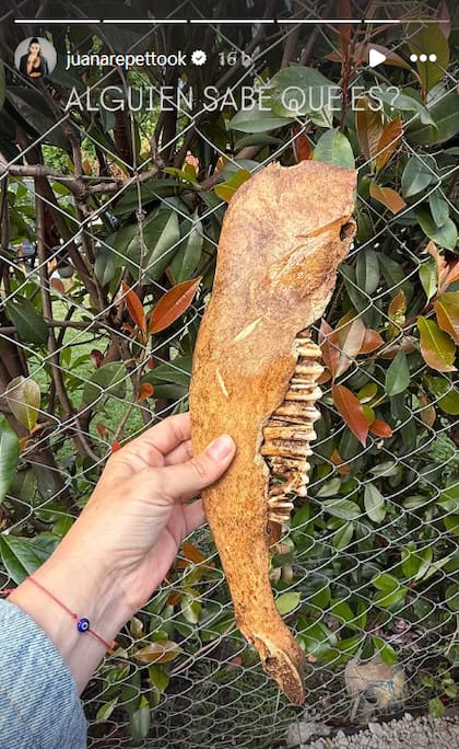 Juana mostró el raro descubrimiento en sus redes