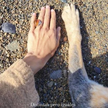 Juana Viale expuso su mano junto a la pata de su mascota Tota, pero lo que llamó la atención fue su anillo con una incrustación de ámbar
