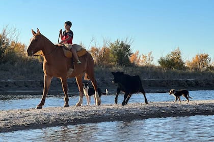 Juanito pasea con su caballo sobre el cauce casi seco del río Salado acompañado por sus perros y su ternero "Tololo".