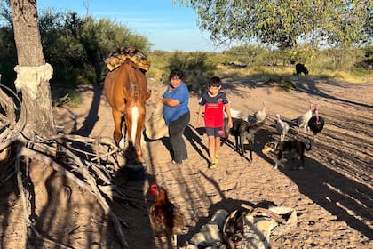 Juanito y su mamá Ruth ensillan el caballo que va a usar para recorrer el campo y llegar hasta el río