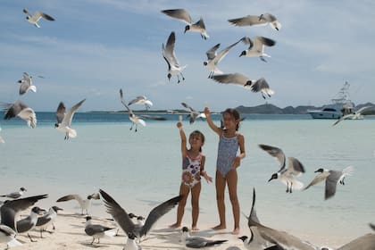 Jugando con los guanaguanares.