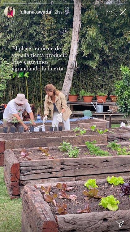 Juliana Awada compartió en su cuenta de Instagram sus nuevas plantaciones
