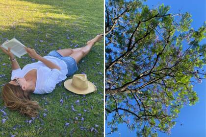 Juliana Awada quiso mostrarle a sus seguidores cómo fue su tarde de lunes feriado