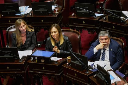 Juliana Di Tullio, Anabel Fernández Sagasti y José Mayans, de Unión por la Patria